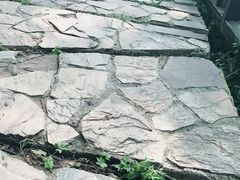 -前关湿地公园