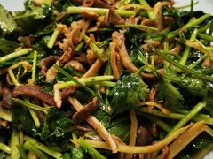 -巴渝兄弟川菜(宽街店)