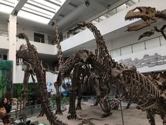 -中国地质大学逸夫博物馆