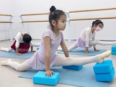 -红舞鞋舞蹈教育(近江校区)