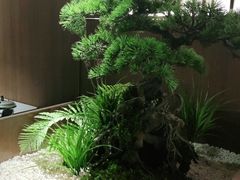 -湘邻呷铺·田园家宴(汉基广场店)