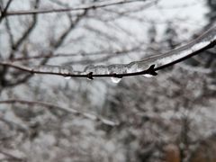-武陵山森林公园