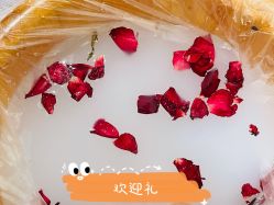 -奥斯芬欧系贵族SPA