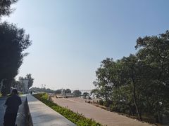 -宝安西湾红树林湿地公园