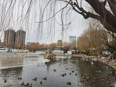 -团结湖公园