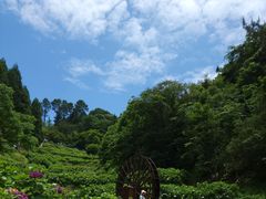 -鼓岭旅游度假区