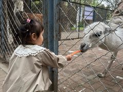 -长白岛森林公园