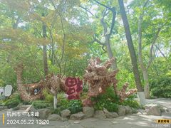-灵隐飞来峰景区