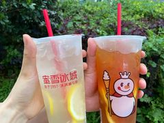 -蜜雪冰城·冰淇淋与茶(长郡中学店)