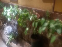 -霄汉羊排(万松园一店)