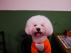 -堂瓦里·33年传统赣菜(第一街区店)