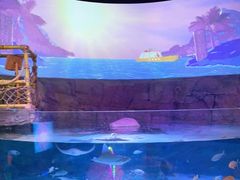 -沈阳海洋探索中心