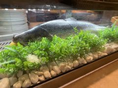 -长沙芙蓉国温德姆至尊豪廷大酒店-自助餐厅