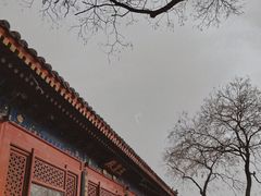 -白云观