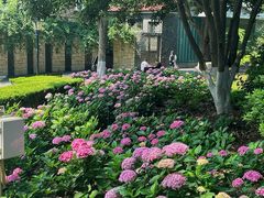 -常州古运河南大街文化旅游区-人民公园