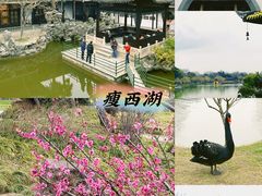 -个园