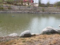 -嘉峪关方特丝路神画