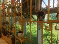 -松山湖梦幻百花洲