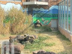 -苏州太湖国家湿地公园