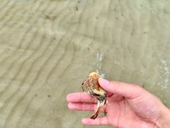 -巽寮湾