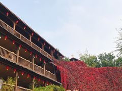 -乌托邦轰趴日租聚会别墅(先生的院子店)