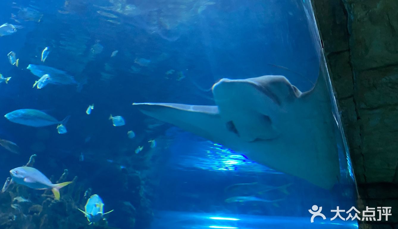 夜宿北京海洋馆