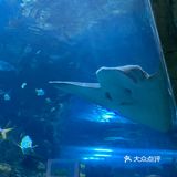 夜宿北京海洋馆