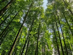 -山王坪喀斯特国家生态公园