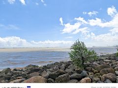 -上海吴淞炮台湾国家湿地公园