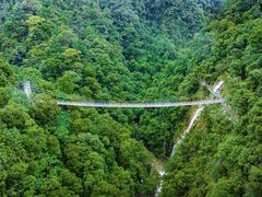 -九龙江国家森林公园