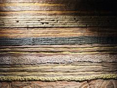 -安徽省地质博物馆