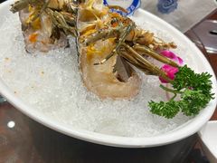 鲜活小青龙-东海怡品海鲜豆捞(舟宿夜江店)