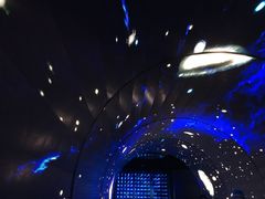 -吉林市博物馆