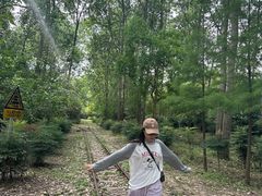 -合肥滨湖国家森林公园