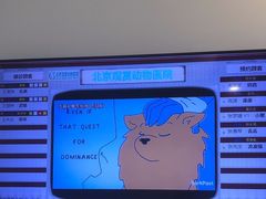 -北京观赏动物医院·24小时大型综合·猫专科·异宠专科