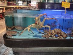 -阿伟海鲜楼·福建菜(延寿店)
