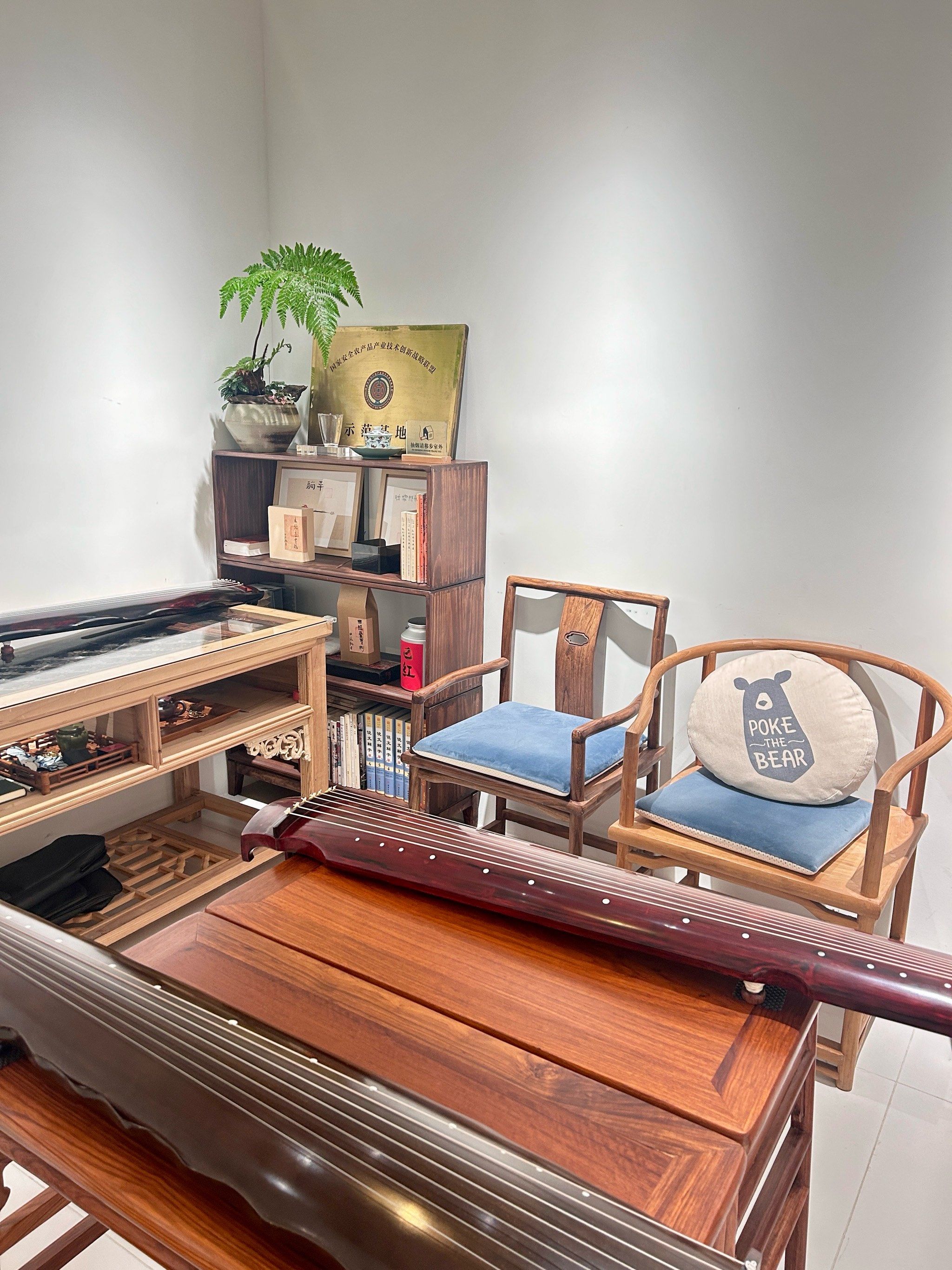 🇨🇳踏上我国传统古琴艺术之奇妙旅程🍃