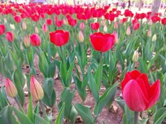 -长春公园(普阳街道)