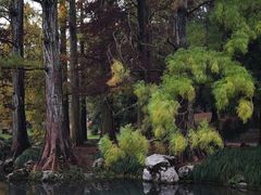 -杭州植物园