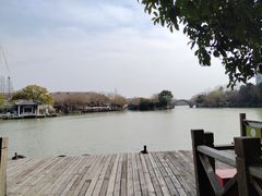 -范蠡湖公园