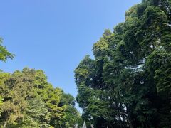 -青城山