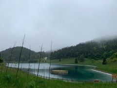 -武陵山森林公园