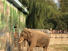 -西安秦岭野生动物园