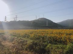 -石峰岩寺