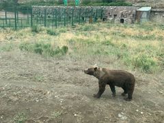 -新疆天山野生动物园