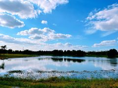 -上海海湾国家森林公园