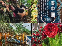 -正佳雨林生态植物园