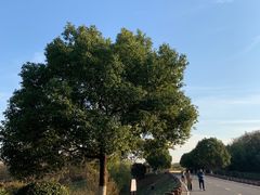 -南京市江宁方山