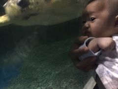 -多彩贵州城极地海洋世界