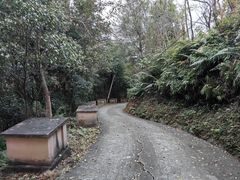 -象头山国家级自然保护区